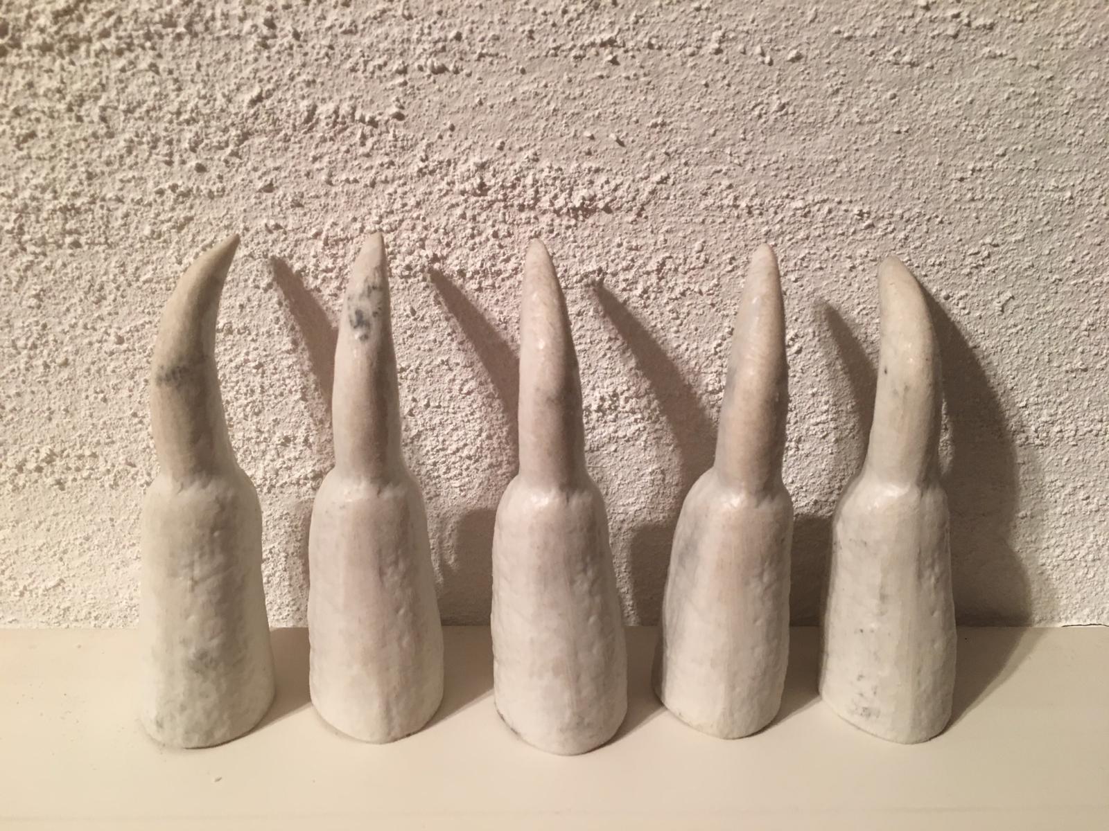 Krallen Weiß Vorderansicht Brandecker 