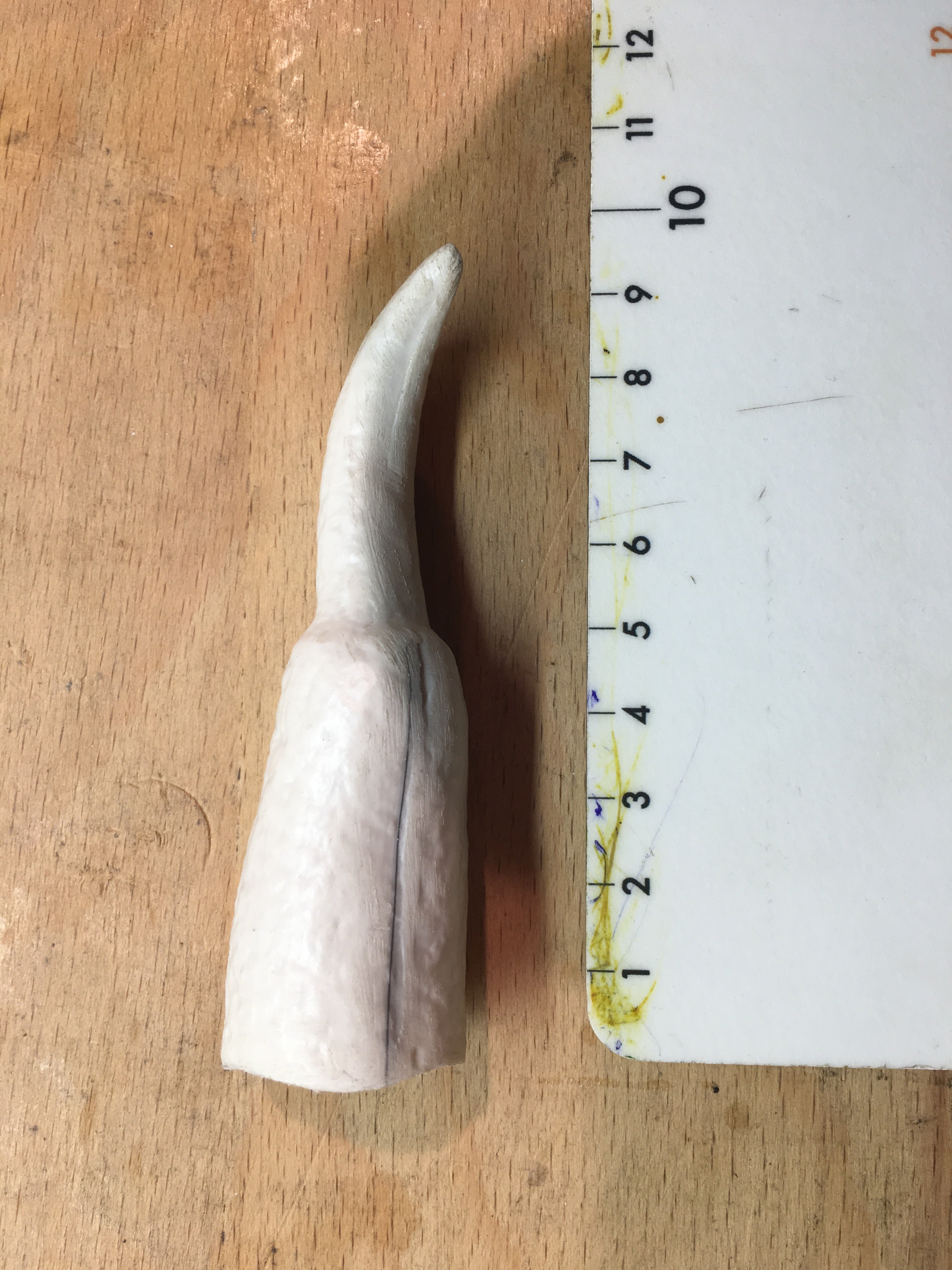 Fingernägel/Krallen (Set)